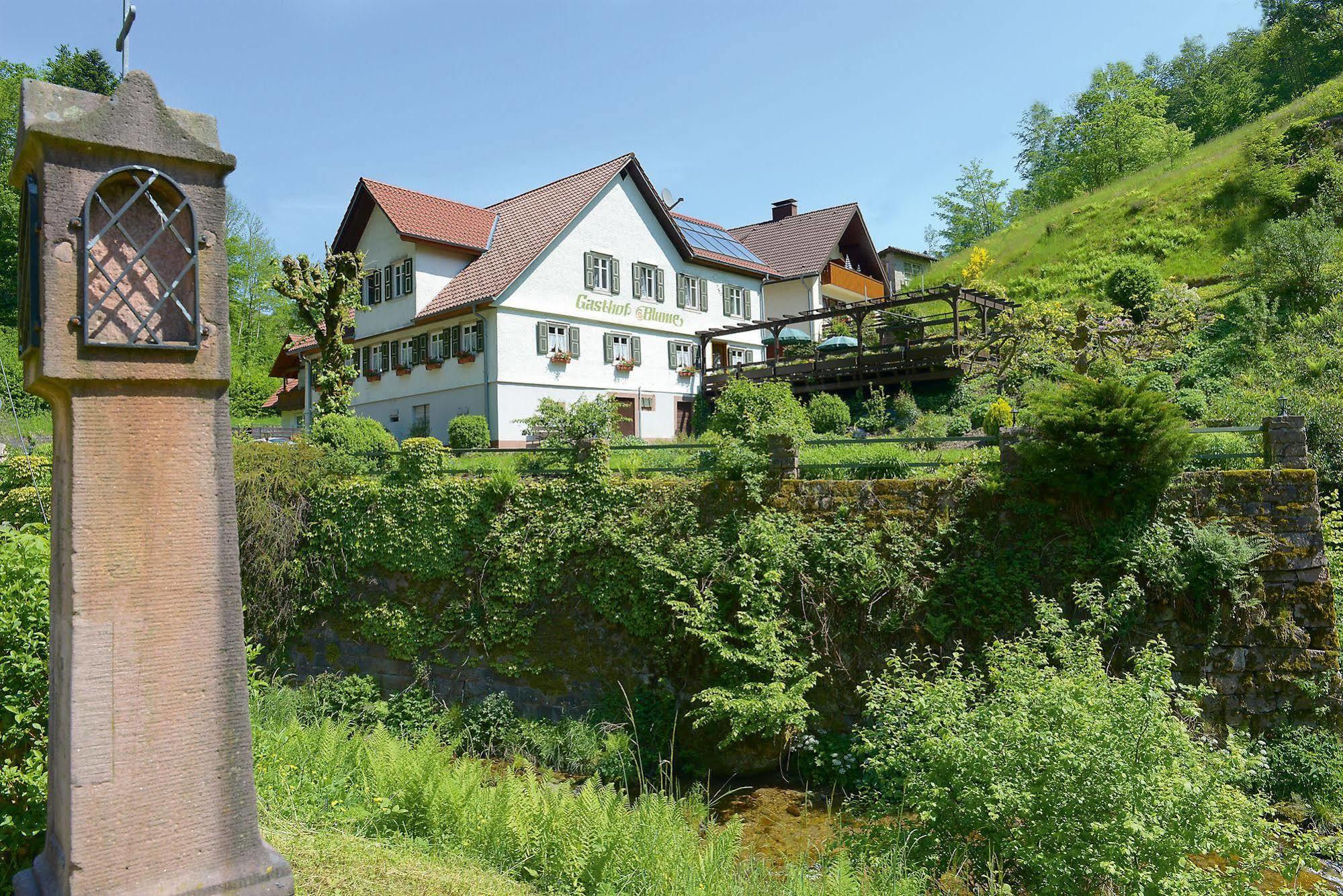 Hotel - Gasthof Blume Oppenau Εξωτερικό φωτογραφία