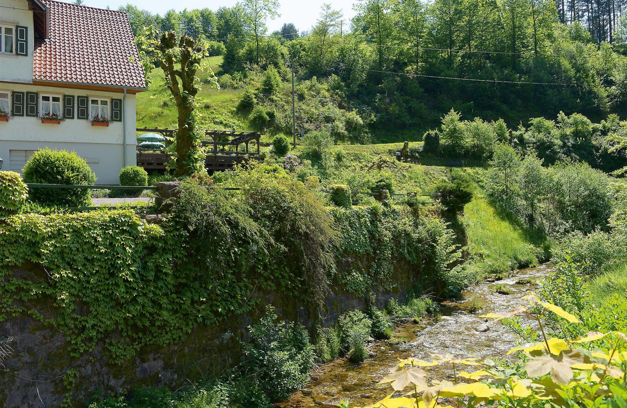 Hotel - Gasthof Blume Oppenau Εξωτερικό φωτογραφία